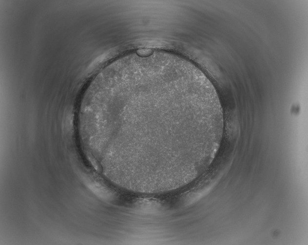 X0000116780207201001281701