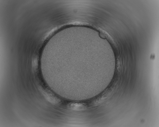 X0000116780208201001281701