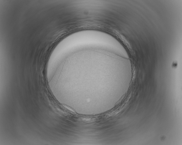 X0000116780209201001281701