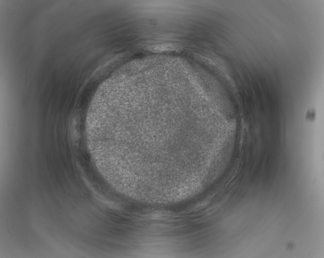 X0000116780210201001281701