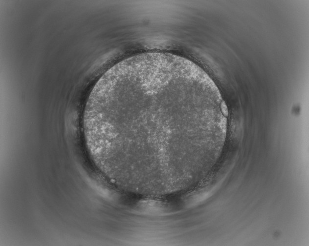 X0000116780211201001281701