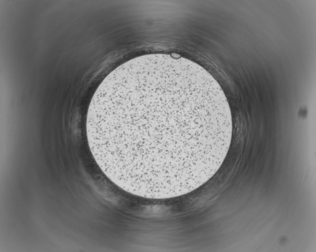 X0000116780212201001281701