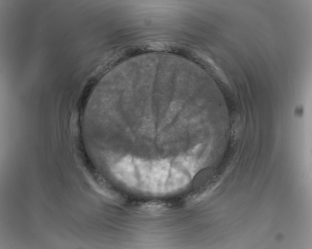 X0000116780213201001281701