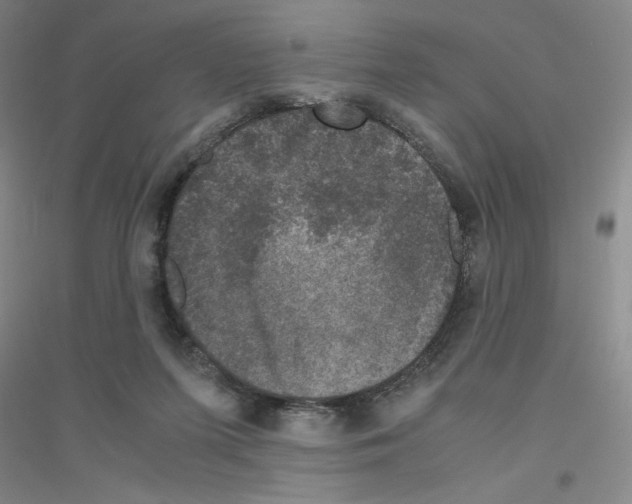 X0000116780215201001281701