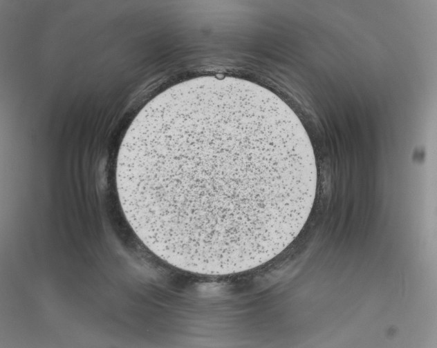 X0000116780216201001281701