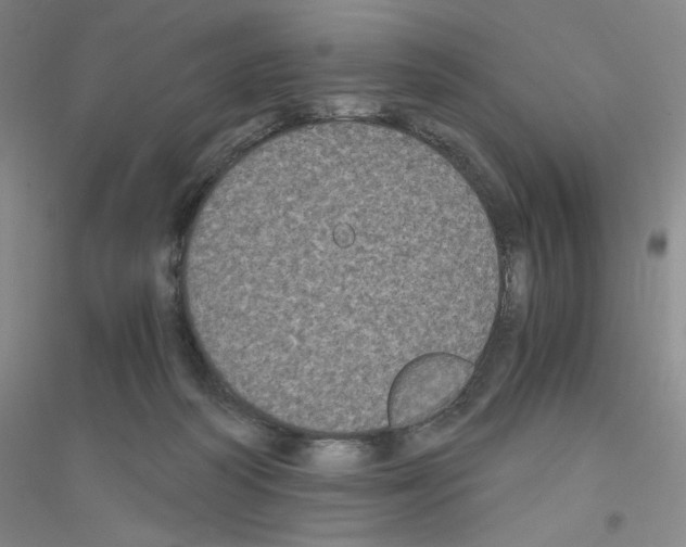 X0000116780218201001281701