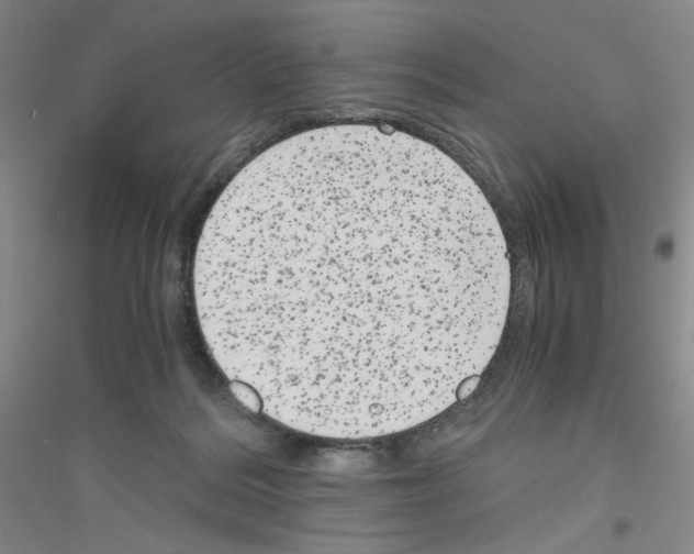 X0000116780220201001281701