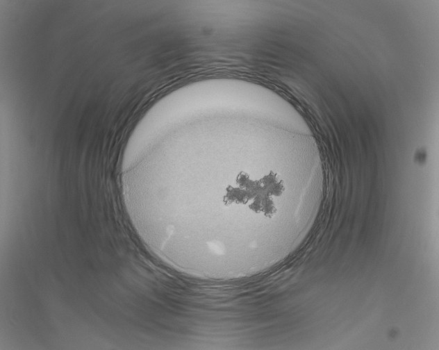 X0000116780221201001281701