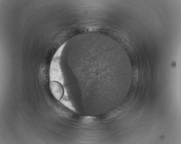 X0000116780222201001281701