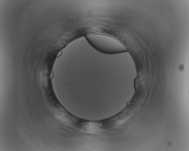 X0000116780223201001281701