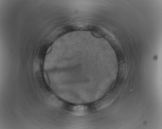 X0000116780225201001281701