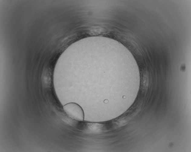 X0000116780226201001281701