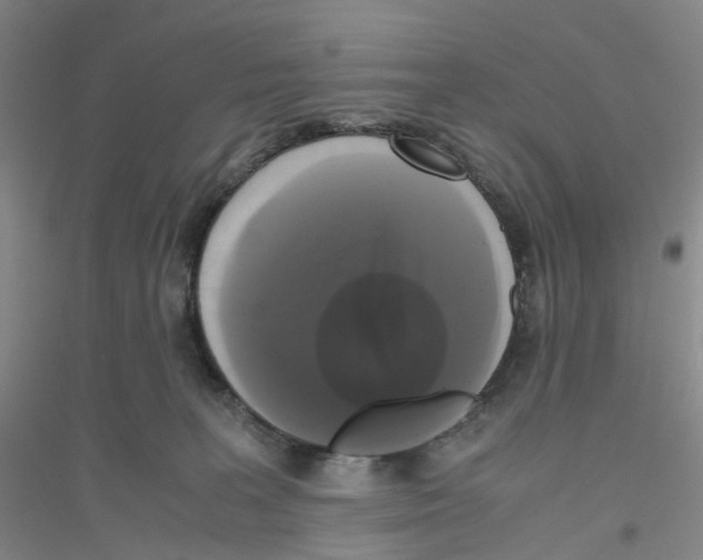 X0000116780227201001281701