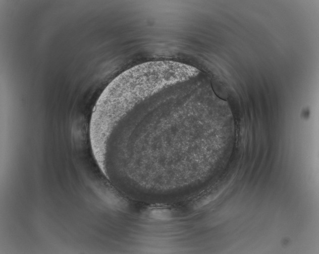 X0000116780228201001281701