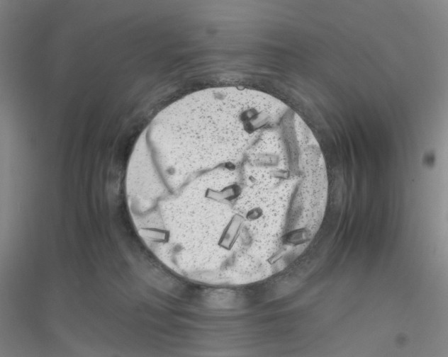 X0000116780230201001281701