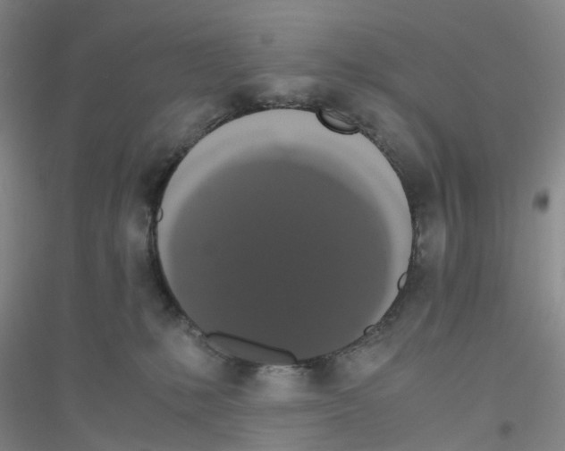 X0000116780231201001281700