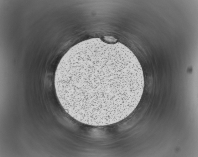 X0000116780232201001281700