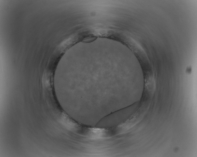 X0000116780233201001281700