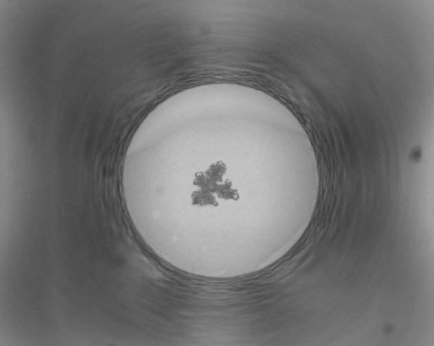 X0000116780235201001281700