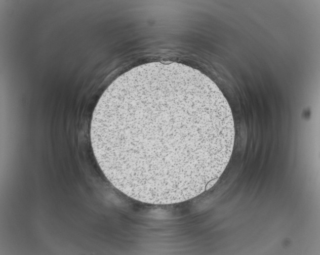 X0000116780236201001281700