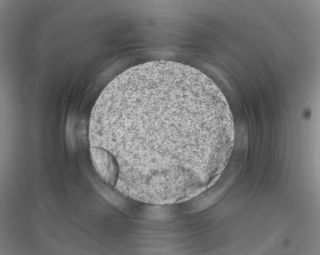 X0000116780238201001281700