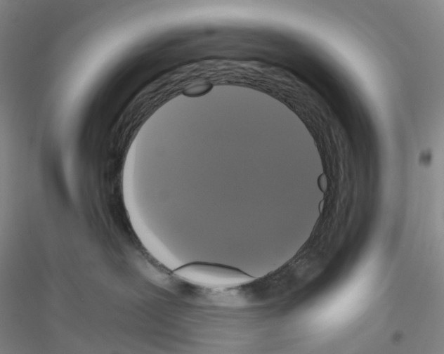 X0000116780239201001281700