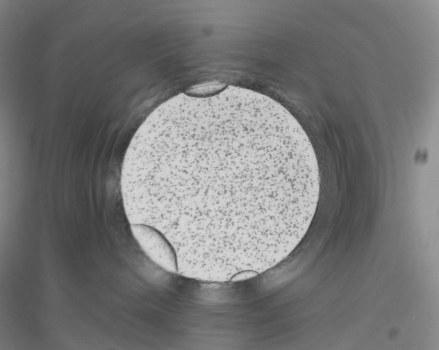 X0000116780240201001281700