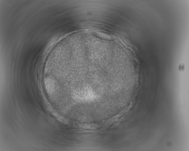 X0000116780241201001281700