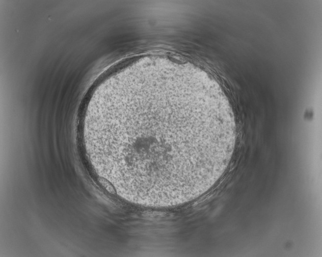 X0000116780242201001281700