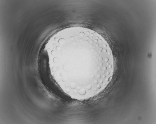 X0000116780243201001281700