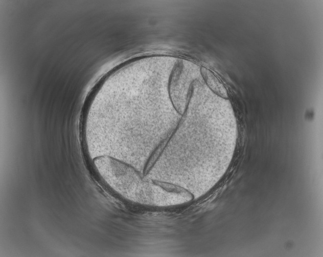 X0000116780244201001281700