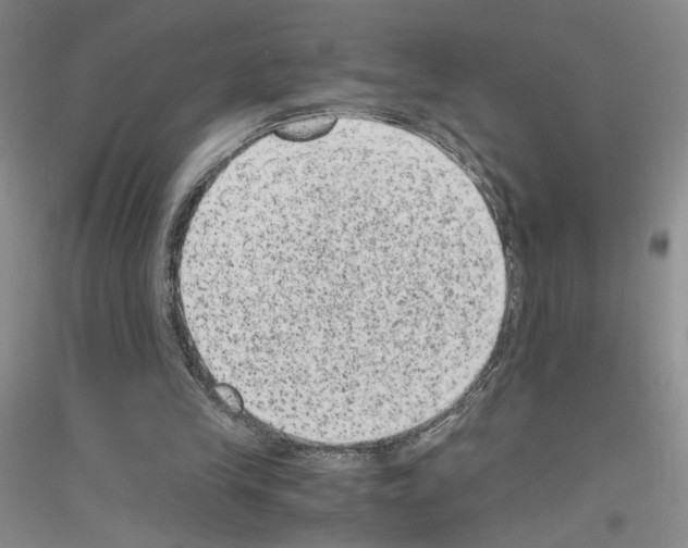 X0000116780245201001281700