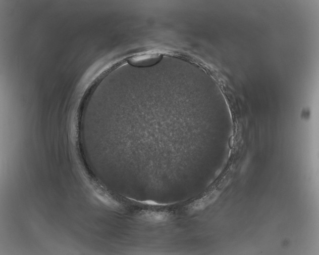 X0000116780247201001281700