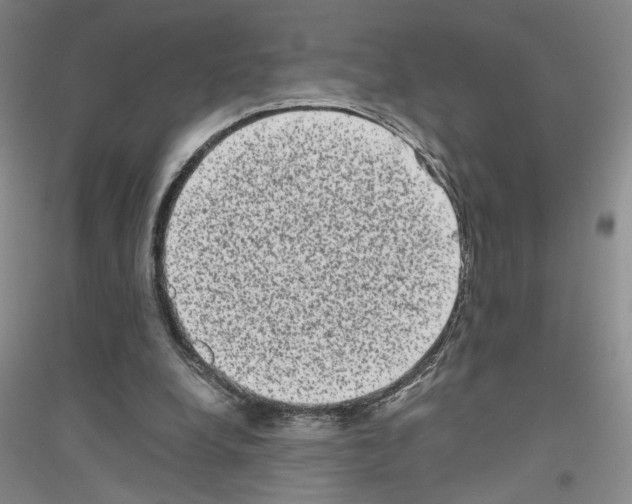 X0000116780248201001281700