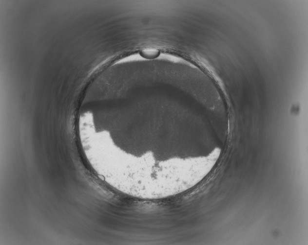 X0000116780249201001281700