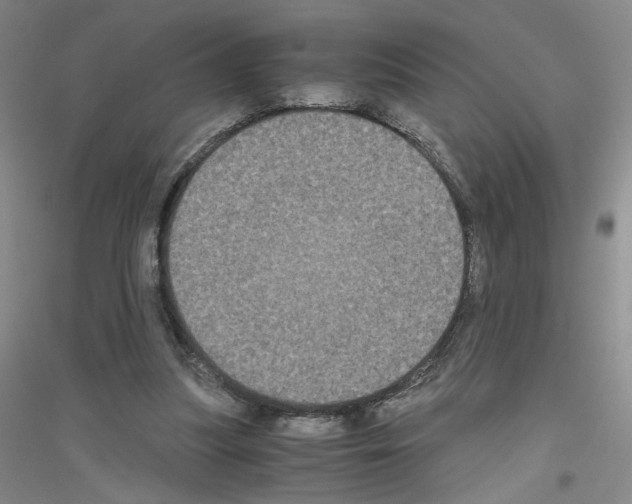 X0000116780251201001281700