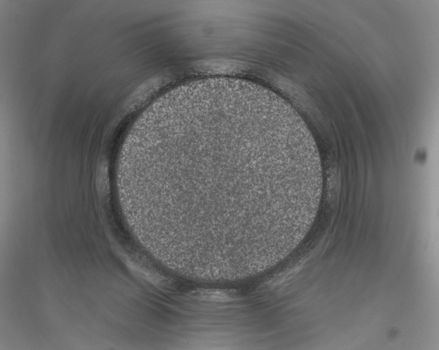 X0000116780254201001281700