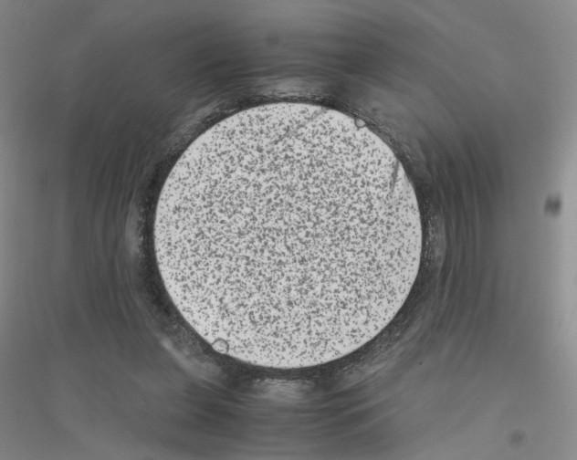 X0000116780255201001281700