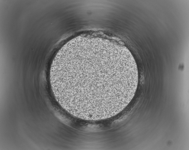 X0000116780256201001281700