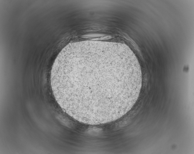 X0000116780257201001281700