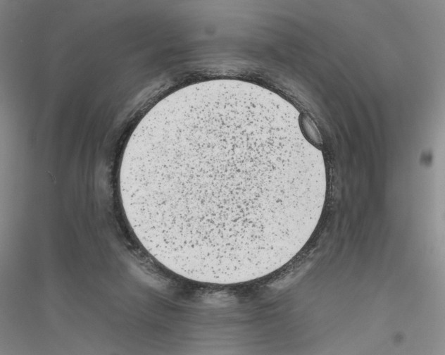 X0000116780258201001281700