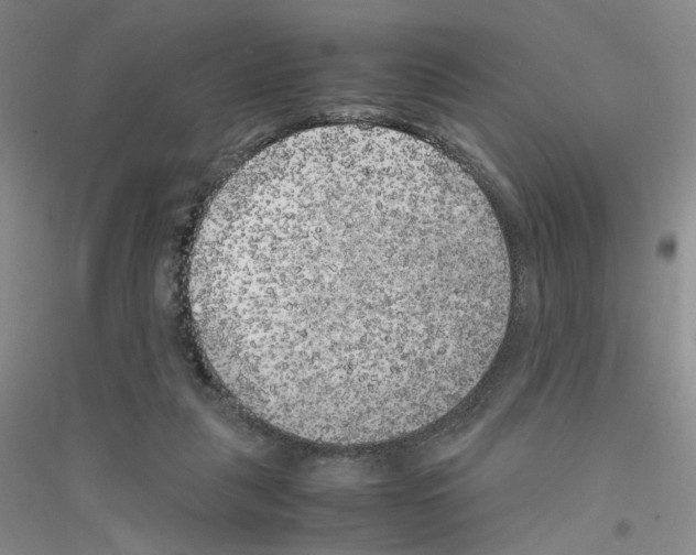 X0000116780259201001281700