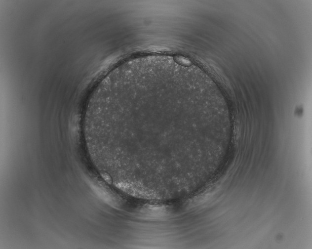 X0000116780260201001281700