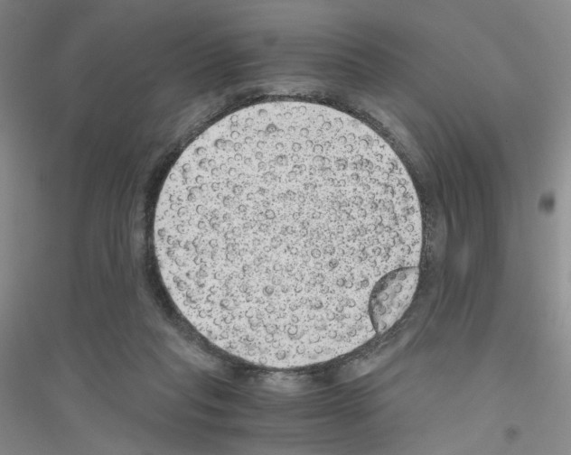 X0000116780261201001281700