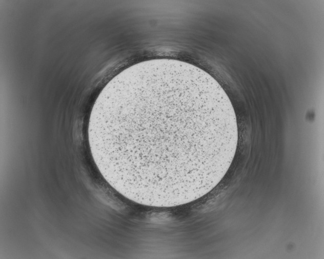 X0000116780262201001281700