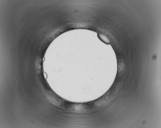 X0000116780264201001281700