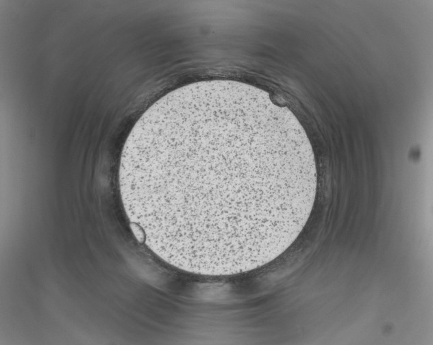 X0000116780266201001281700