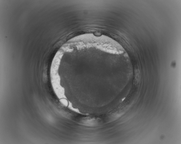 X0000116780267201001281700