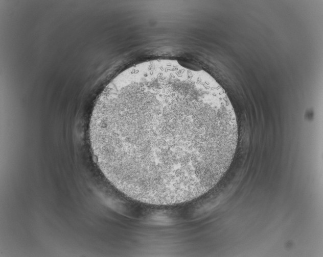 X0000116780268201001281700