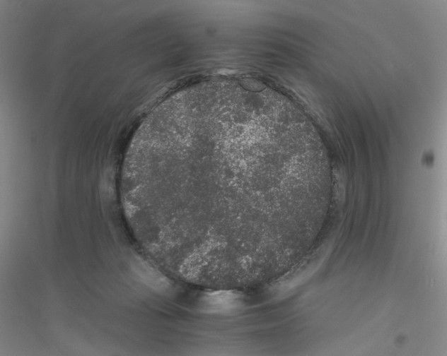 X0000116780269201001281700